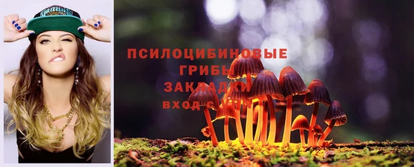 дурь Корсаков