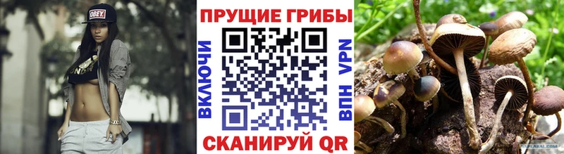 ОМГ ОМГ tor как найти наркотики Остров Галлюциногенные грибы Psilocybe